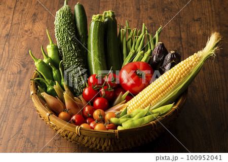 夏野菜　集合 100952041