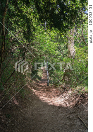春の大和葛城山の登山道、奈良県御所市櫛羅 春の大和葛城山の登山道、奈良県御所市櫛羅 100952451
