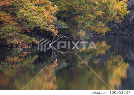 221101ダム湖g001 100952534