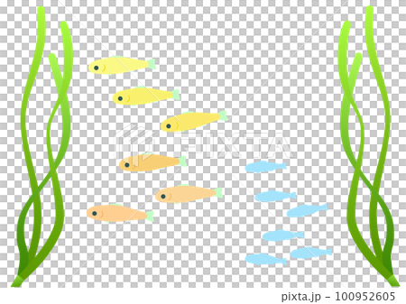 A school of juvenile fish that lives in eelgrass beds. Set of cartoon style illustrations of colorful juvenile fish and silhouettes A school of juvenile fish that lives in eelgrass beds. Set of cartoon style illustrations of colorful juvenile fish and silhouettes 100952605