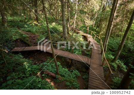 Pedestrian wooden eco trails, bridge over sources. Holy springs ecological trail, Minsk district, Belarus. Pedestrian wooden eco trails, bridge over sources. Holy springs ecological trail, Minsk district, Belarus. 100952742