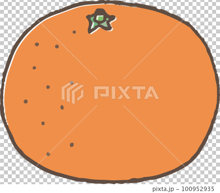 cute mandarin orange in a simple hand drawn style 100952935