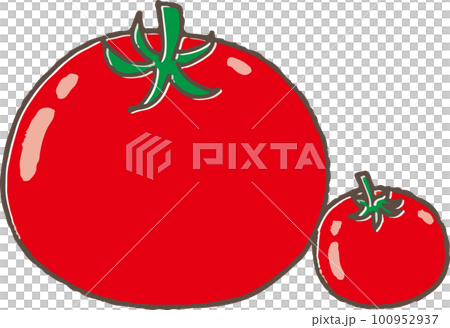 Simple hand drawn style cute tomato illustration 100952937