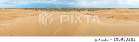 Panorama 180 of the desert in spring from a bird's eye view. Sand dunes in the Kyzylkum desert. Soft lighting in cloudy weather before rain 100953283