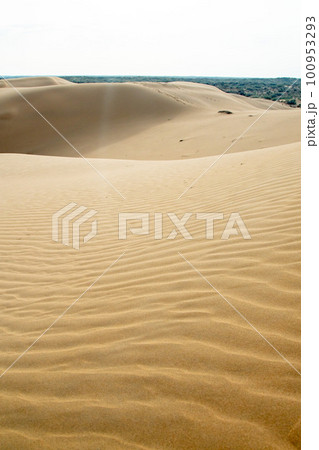 Texture of sand dunes as background top view. Drone view of the Kyzylkum desert in soft evening lighting, a peaceful landscape Texture of sand dunes as background top view. Drone view of the Kyzylkum desert in soft evening lighting, a peaceful landscape 100953293