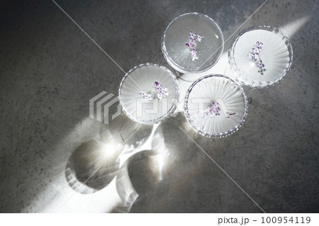 Four glasses with champagne on a light table surface reflecting soft sunshine rayson 100954119
