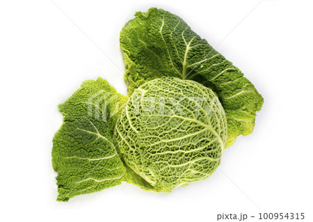 A grown head of Savoy cabbage on a white background 100954315