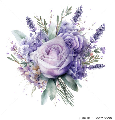 Lavender watercolor. Beautiful floral bouquets lavender and roses. Lavender watercolor. Beautiful floral bouquets lavender and roses. 100955590