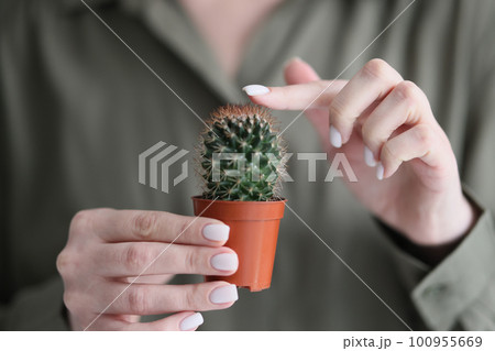 Woman touches green spiked cactus with index finger Woman touches green spiked cactus with index finger 100955669