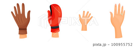 Different Human Right and Left Hands with Palm Raised Up Vector Set Different Human Right and Left Hands with Palm Raised Up Vector Set 100955752