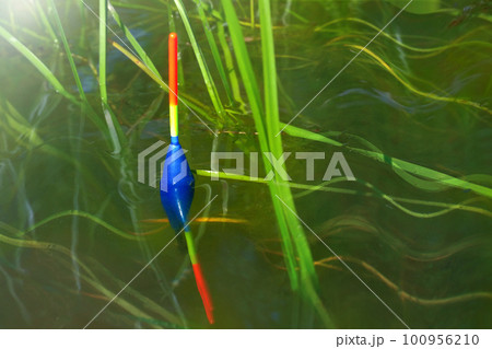 Fishing float in reflection in the water on the lake close-up 100956210