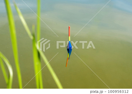 A bobber in the water. Fishing on the lake, fishing background 100956312
