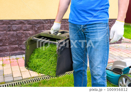 A container of mowed grass and a gardener close-up. Housework 100956812