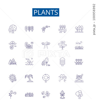 Plants line icons signs set. Design collection of Flora, Growth, Photosynthesis, Foliage, Algae, Trees, Shrubs, Petals outline concept vector illustrations Plants line icons signs set. Design collection of Flora, Growth, Photosynthesis, Foliage, Algae, Trees, Shrubs, Petals outline concept vector illustrations 100956992