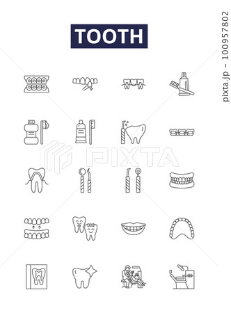 Tooth line vector icons and signs. Dental, Dentition, Enamel, Toothache, Cavity, Incisor, Molar, Canine outline vector illustration set 100957802