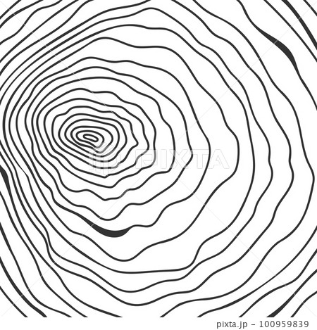 Trunk cross section texture. Tree rings in linear doodle style. Wooden surface hand drawn stamp isolated on white background. Topographic design Trunk cross section texture. Tree rings in linear doodle style. Wooden surface hand drawn stamp isolated on white background. Topographic design 100959839