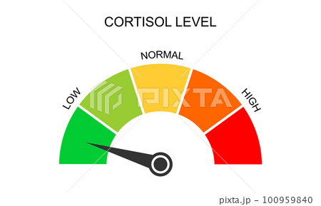 Cortisol meter gauge. Body stress response levels. Round chart with arrow from low to high isolated on white background. Vector flat illustration Cortisol meter gauge. Body stress response levels. Round chart with arrow from low to high isolated on white background. Vector flat illustration 100959840