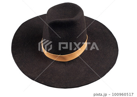 European Renaissance men's vintage hat 100960517