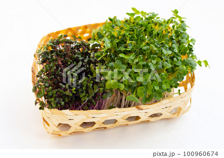 Kale sprouts with red cabbage sprouts on white background. 100960674