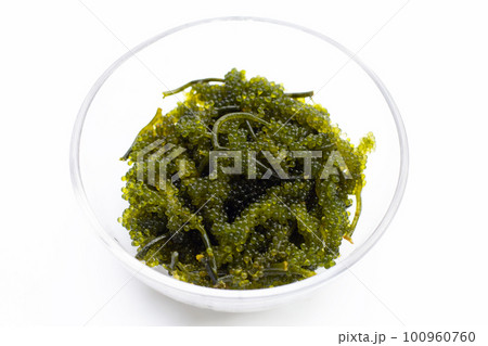 Sea grape seaweed on white background. Sea grape seaweed on white background. 100960760