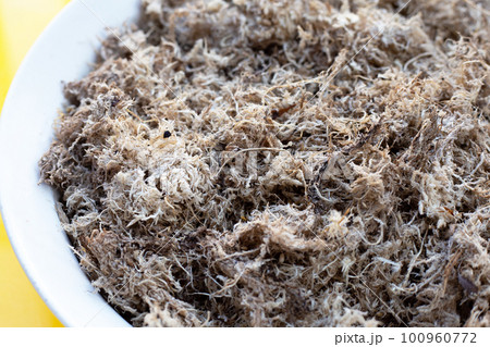 Dry sphagnum moss. Help plants retain moisture Dry sphagnum moss. Help plants retain moisture 100960772