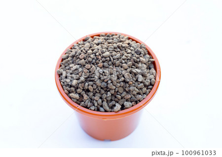 Pumice pebbles or volcanic rock 100961033