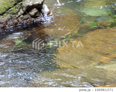 澄んだ水が流れる渓流の風景 100961371