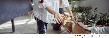 Hands of young caucasian girl who is working to do a composition.Flourist shop with different kinds of dryed flowers Hands of young caucasian girl who is working to do a composition.Flourist shop with different kinds of dryed flowers 100961983
