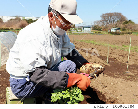 保護メガネをして作業するシニア 100961984