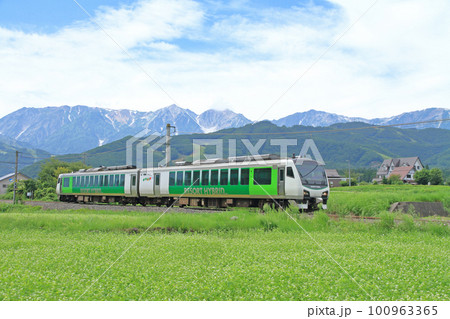 大糸線 夏のリゾートビューふるさと 大糸線 夏のリゾートビューふるさと 100963365