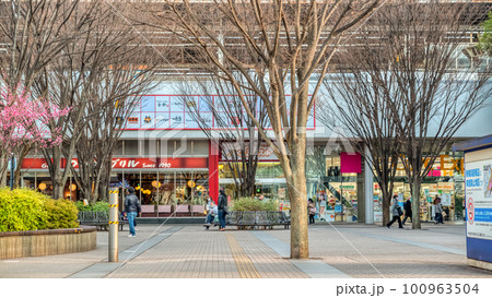 横浜の都市風景　新横浜駅北口　駅前広場 100963504