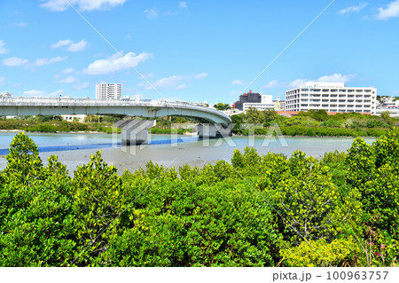 爬龍橋/漫湖周辺を望む(沖縄県那覇市)【2023.2】 爬龍橋/漫湖周辺を望む(沖縄県那覇市)【2023.2】 100963757