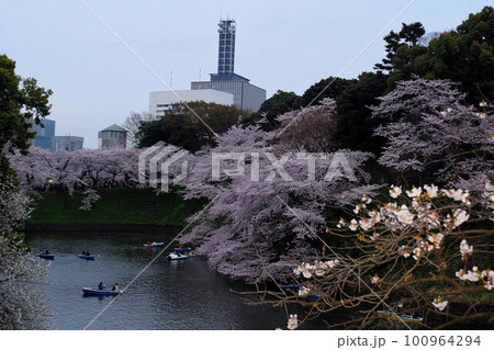 お濠に映る桜 お濠に映る桜 100964294
