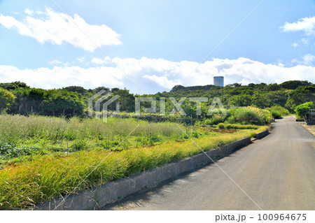 与座岳周辺を北側より望む(沖縄県糸満市)【2023.2】 100964675