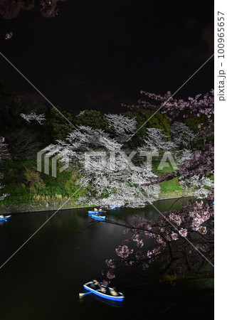 ライトアップされた夜桜と手漕ぎボート ライトアップされた夜桜と手漕ぎボート 100965657