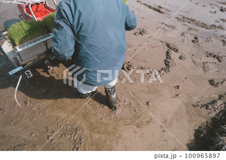 Agriculture Agriculture 100965897