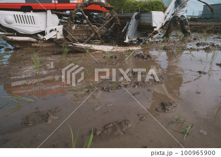 Agriculture 100965900
