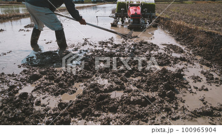 Agriculture 100965904