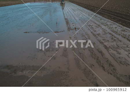 Agriculture Agriculture 100965912