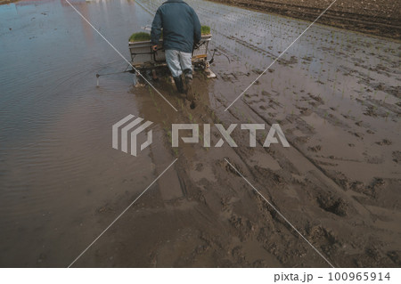 Agriculture 100965914