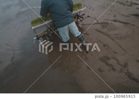 Agriculture Agriculture 100965915