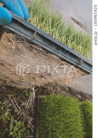 Agriculture 100965920