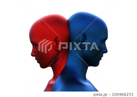 3d render. Merger of a male blue head and a red female head on a white background.  3d render. Merger of a male blue head and a red female head on a white background.  100966255