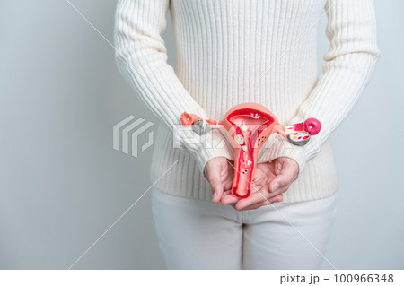 Woman holding Uterus and Ovaries model. Ovarian and Cervical cancer, Cervix disorder, Endometriosis, Hysterectomy, Uterine fibroids, Reproductive system and Pregnancy concept Woman holding Uterus and Ovaries model. Ovarian and Cervical cancer, Cervix disorder, Endometriosis, Hysterectomy, Uterine fibroids, Reproductive system and Pregnancy concept 100966348
