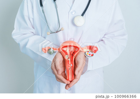 Doctor holding Uterus and Ovaries model. Ovarian and Cervical cancer, Cervix disorder, Endometriosis, Hysterectomy, Uterine fibroids, Reproductive system and Pregnancy concept Doctor holding Uterus and Ovaries model. Ovarian and Cervical cancer, Cervix disorder, Endometriosis, Hysterectomy, Uterine fibroids, Reproductive system and Pregnancy concept 100966366