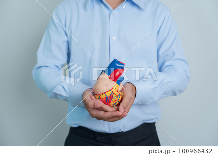 man holding human Heart model. Cardiovascular Diseases, Atherosclerosis, Hypertensive Heart, Valvular Heart, Aortopulmonary window, world Heart day and health concept man holding human Heart model. Cardiovascular Diseases, Atherosclerosis, Hypertensive Heart, Valvular Heart, Aortopulmonary window, world Heart day and health concept 100966432