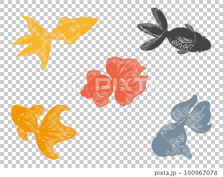泳ぐ金魚の線画イラスト素材 100967078
