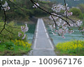 桜のある道（三里沈下橋） 100967176