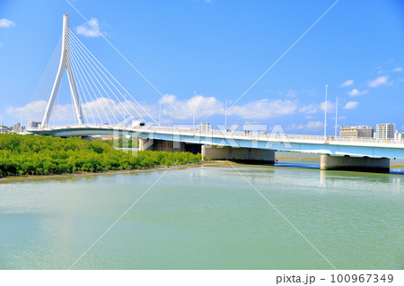 とよみ大橋周辺を望む(沖縄県豊見城市)【2023.2】 100967349
