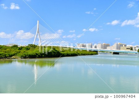 とよみ大橋周辺を望む(沖縄県豊見城市)【2023.2】 100967404